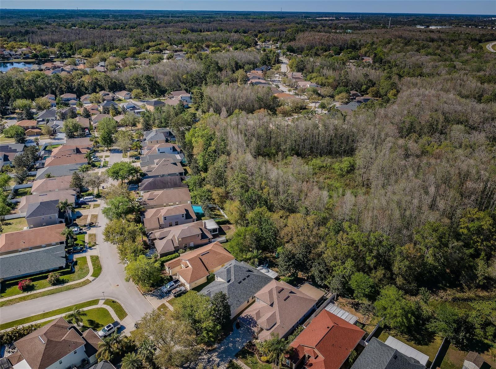 15925 POND RUSH CT, LAND O LAKES, FL, 34638