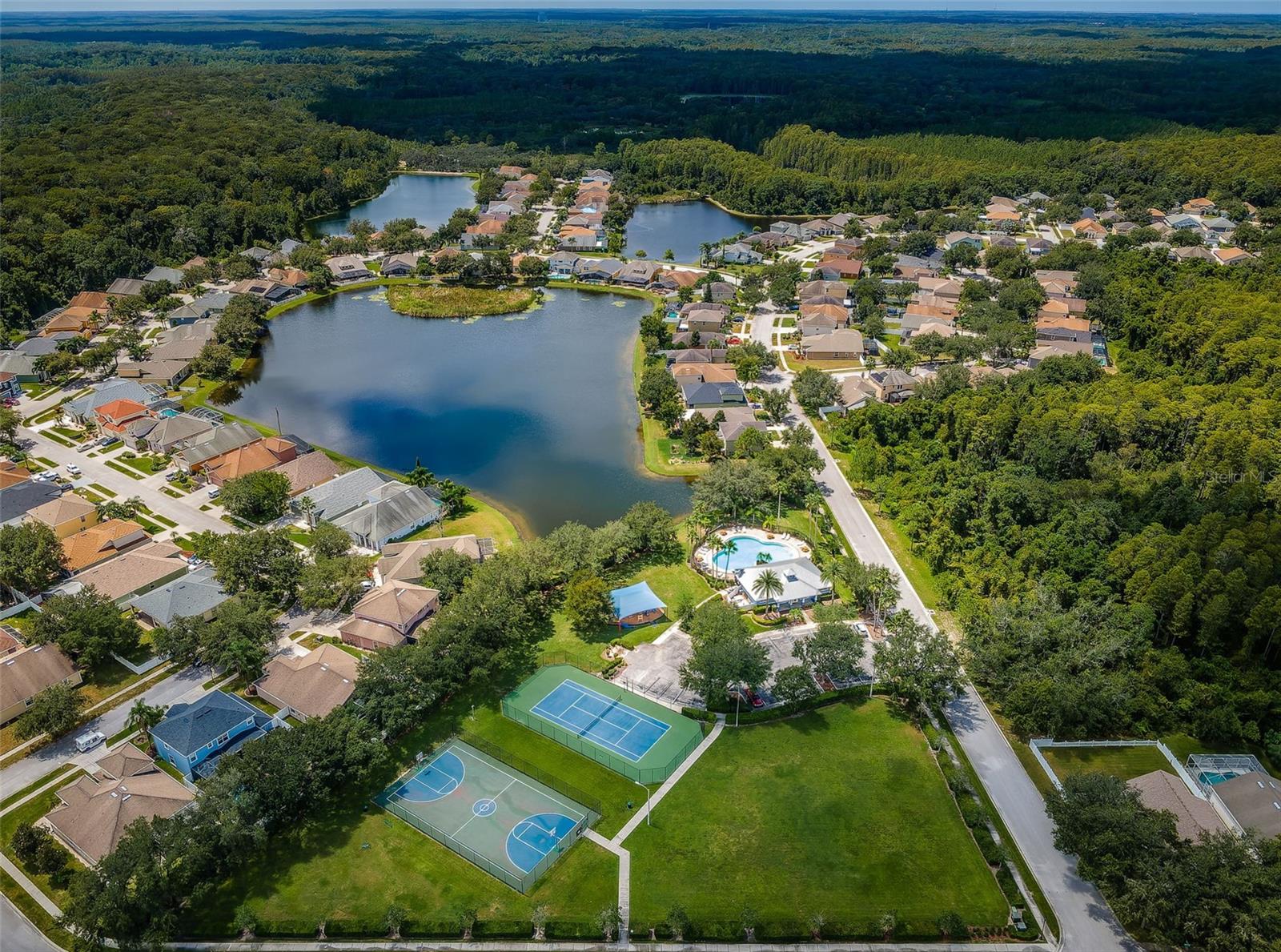15925 POND RUSH CT, LAND O LAKES, FL, 34638