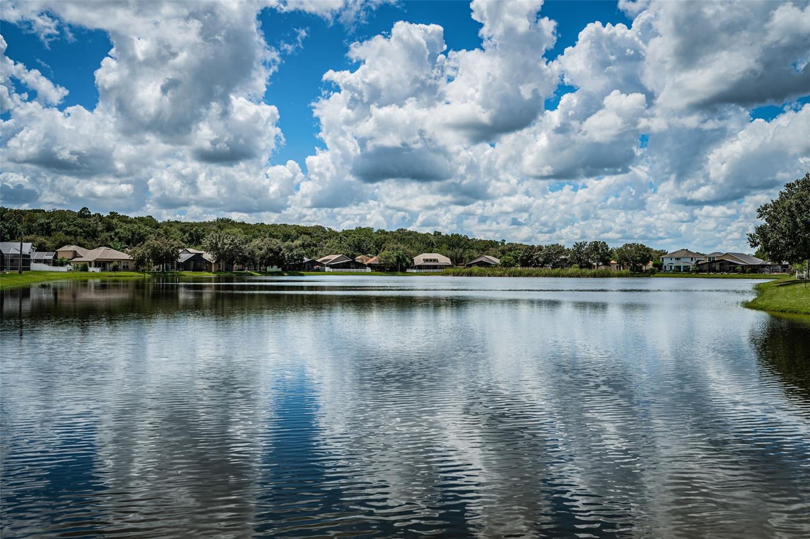 15925 POND RUSH CT, LAND O LAKES, FL, 34638