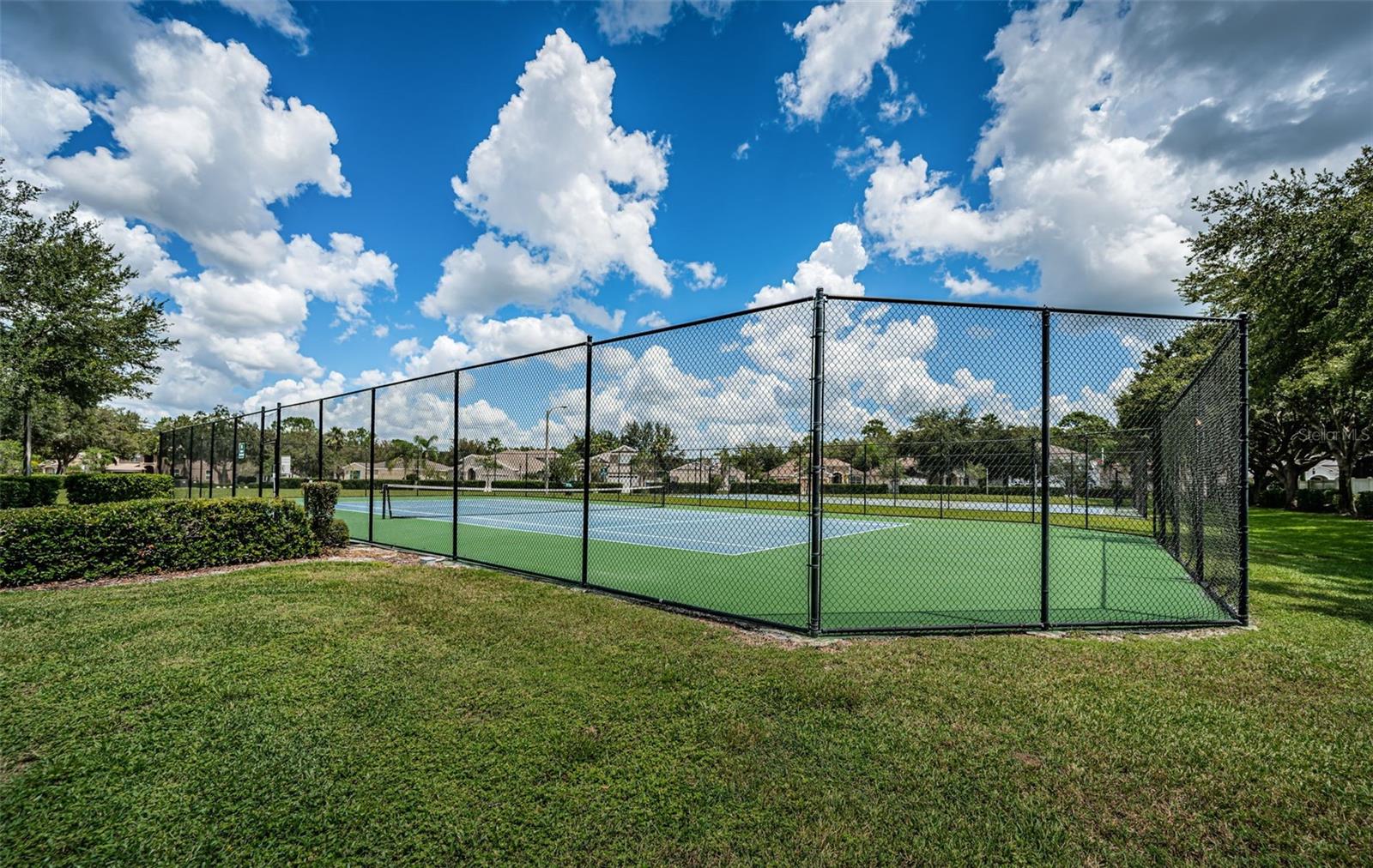15925 POND RUSH CT, LAND O LAKES, FL, 34638