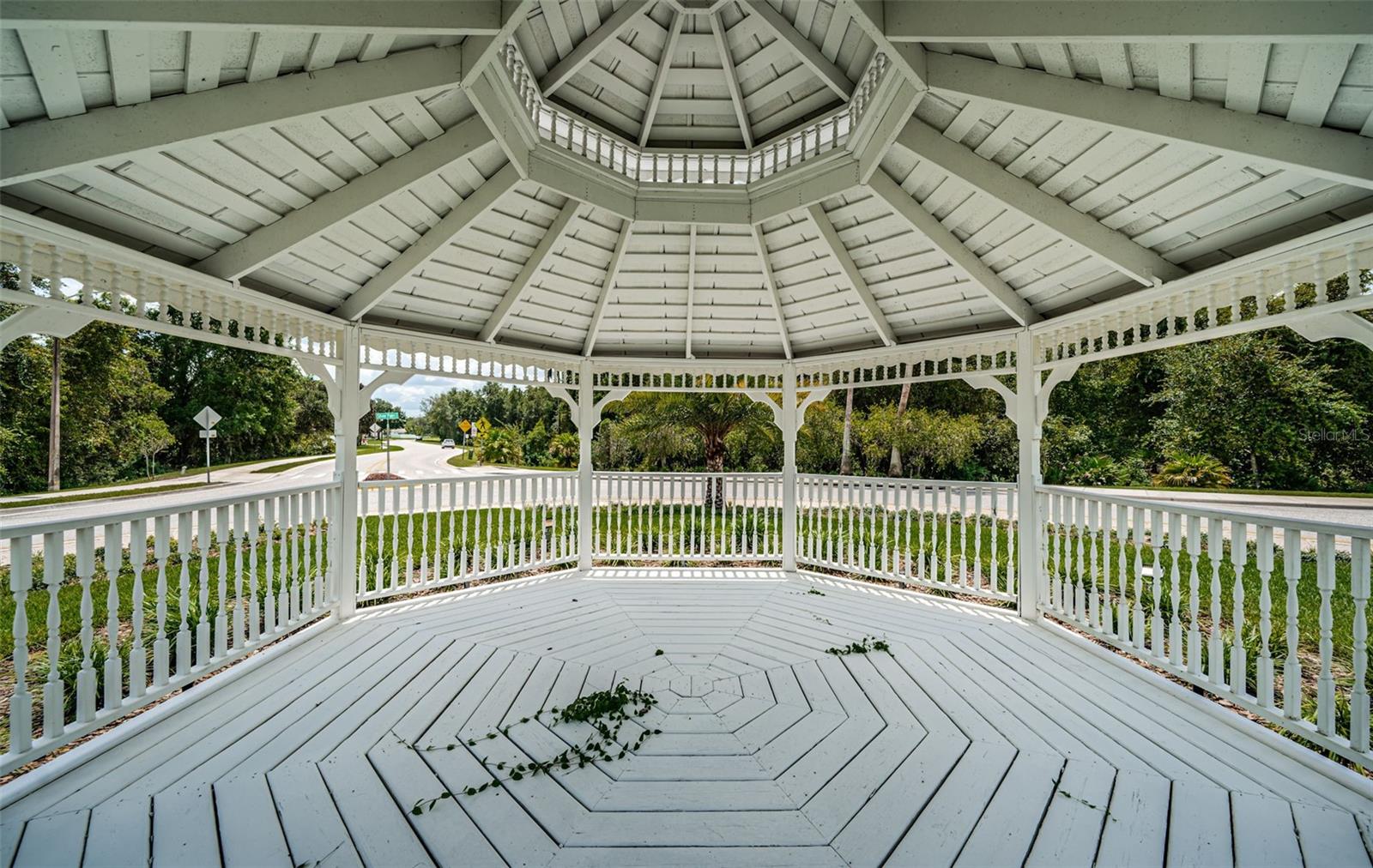 15925 POND RUSH CT, LAND O LAKES, FL, 34638