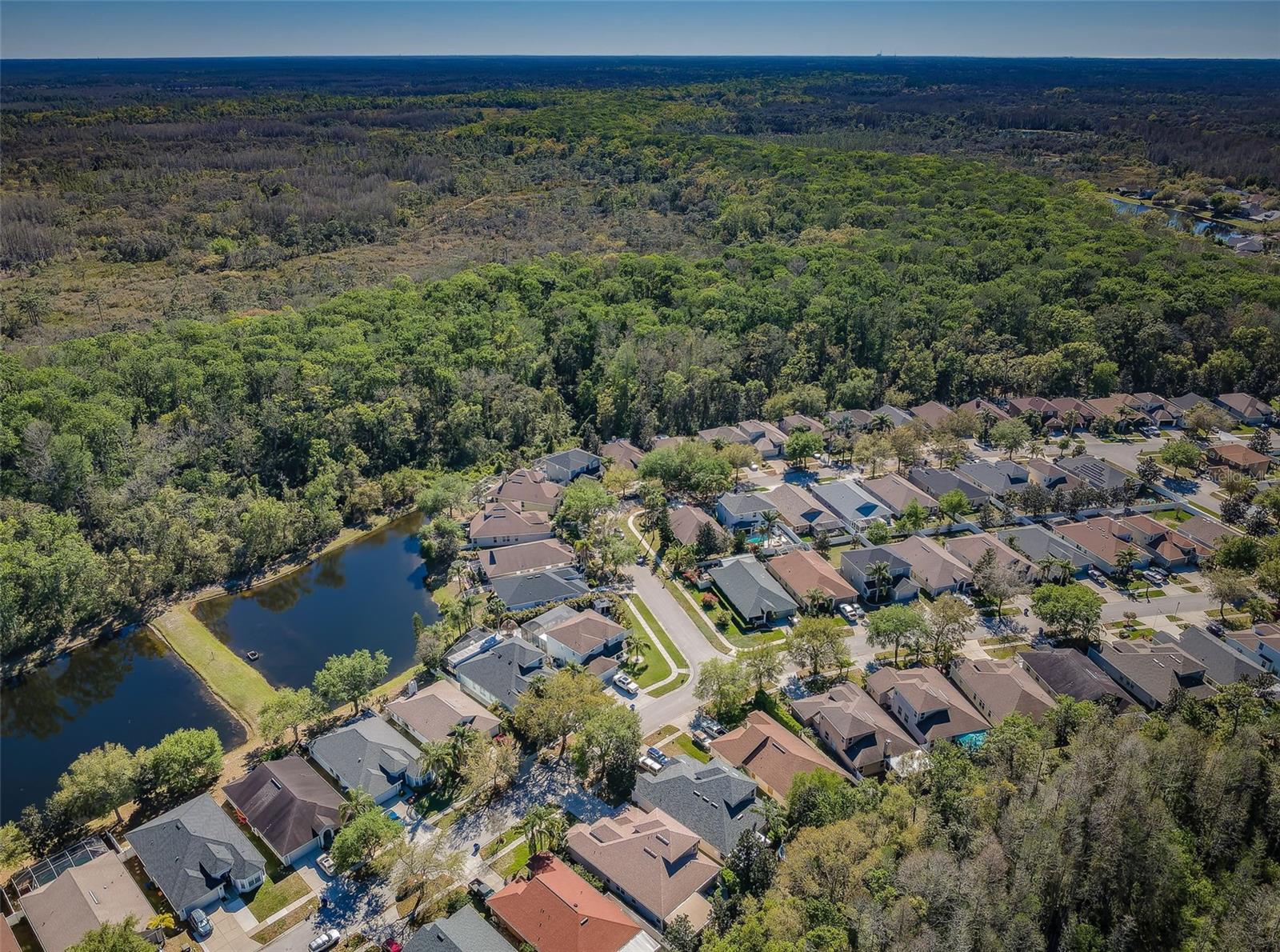 15925 POND RUSH CT, LAND O LAKES, FL, 34638