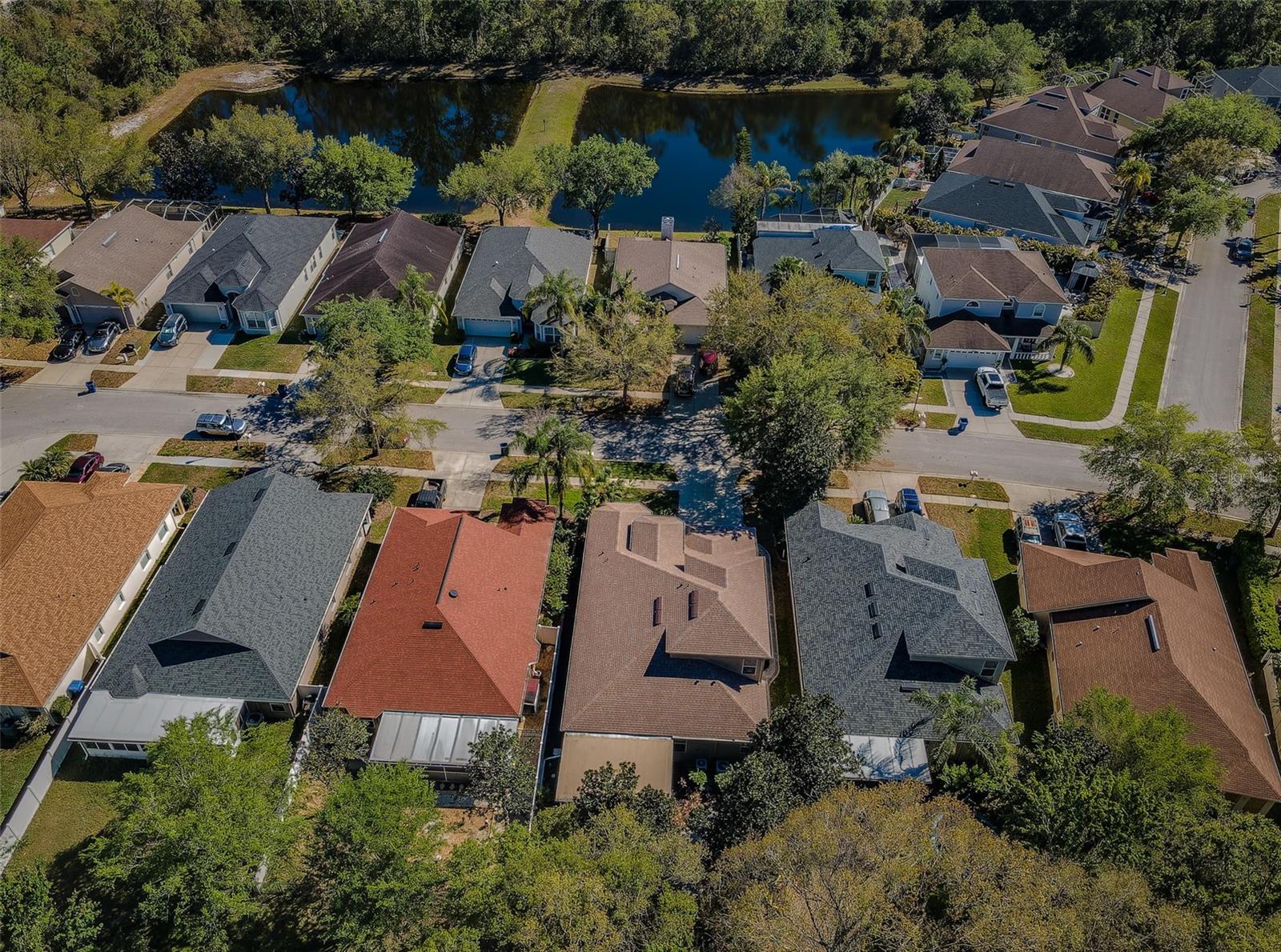 15925 POND RUSH CT, LAND O LAKES, FL, 34638
