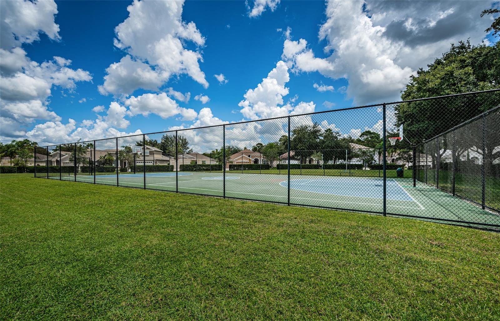 15925 POND RUSH CT, LAND O LAKES, FL, 34638