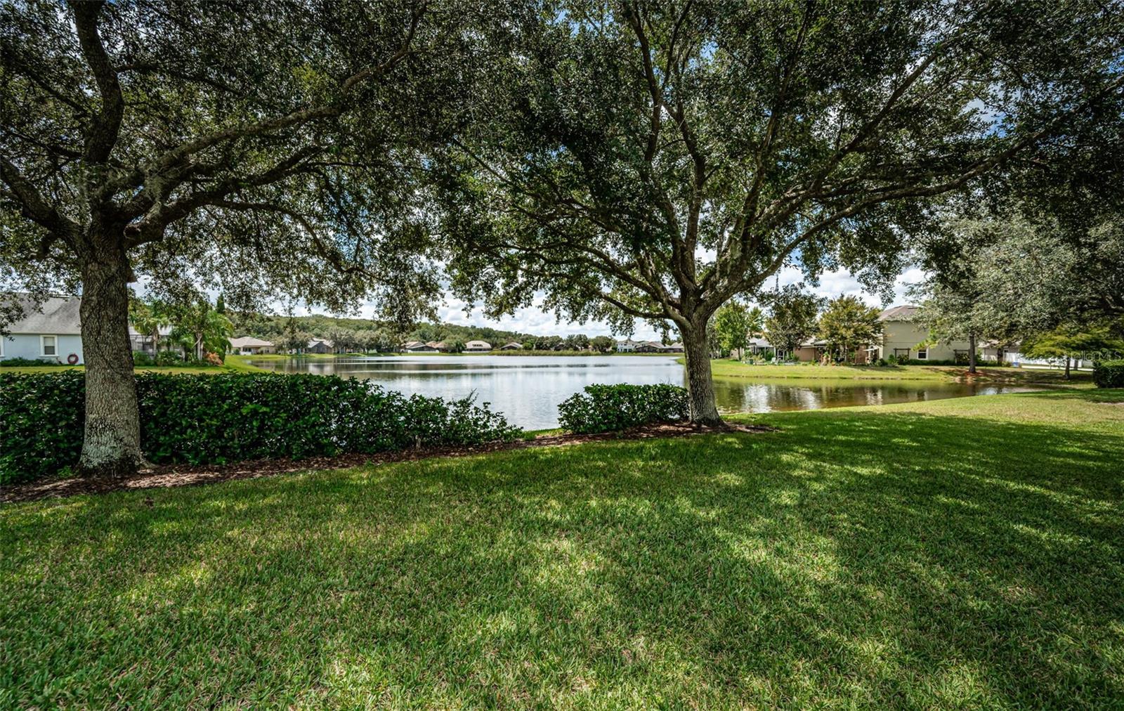 15925 POND RUSH CT, LAND O LAKES, FL, 34638