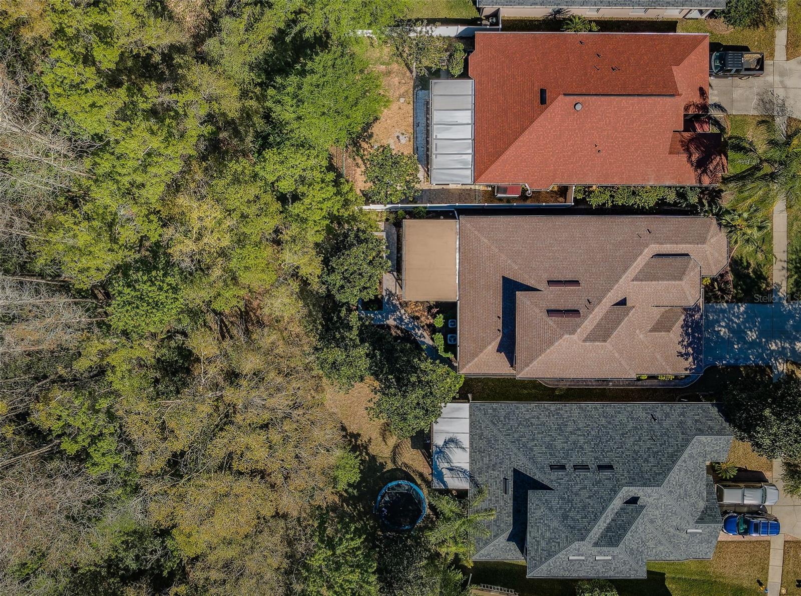 15925 POND RUSH CT, LAND O LAKES, FL, 34638