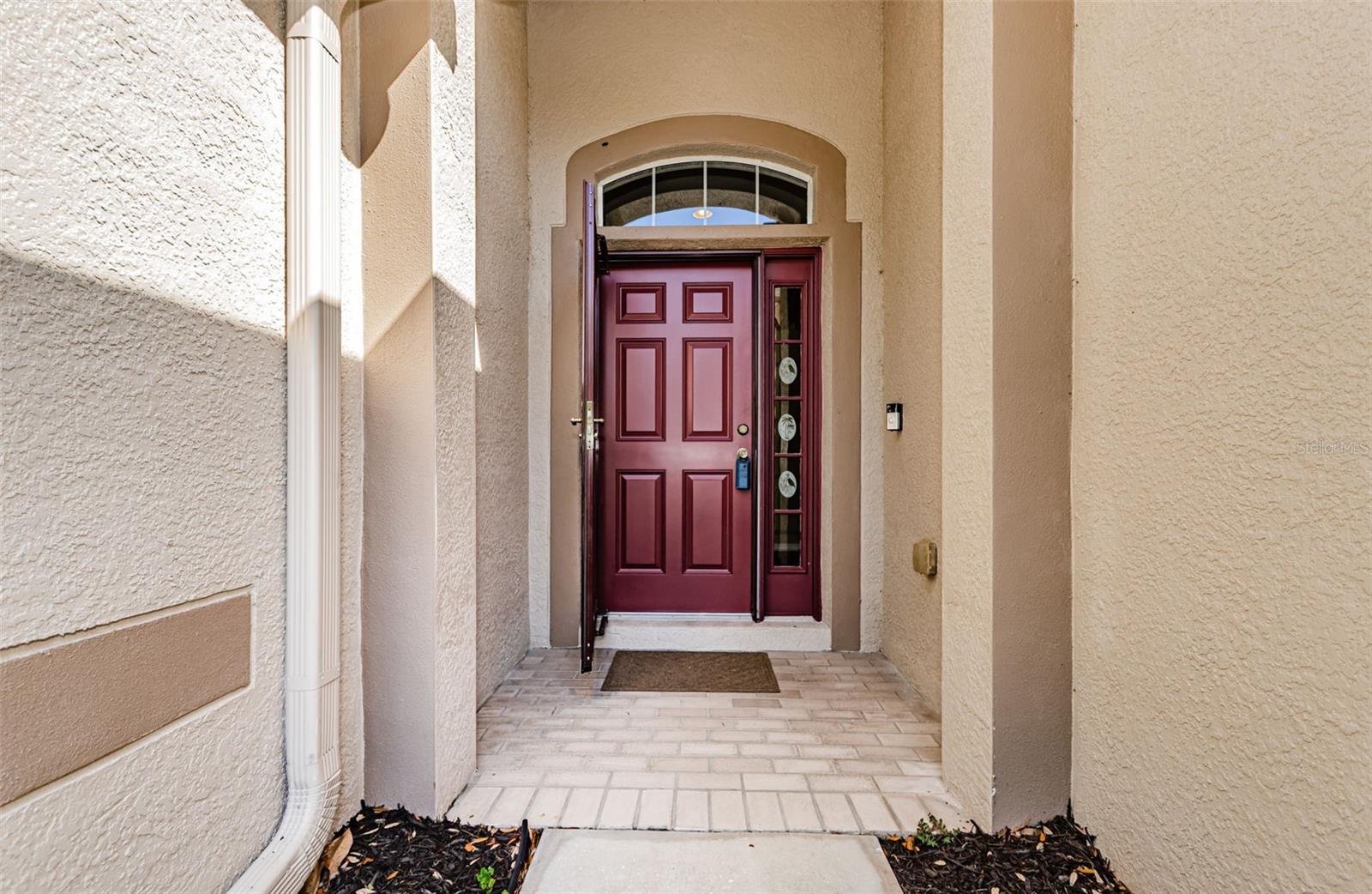 15925 POND RUSH CT, LAND O LAKES, FL, 34638