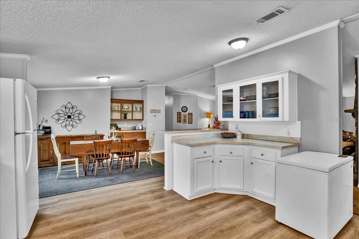 10404 HAWK CT, RIVERVIEW, FL, 33578