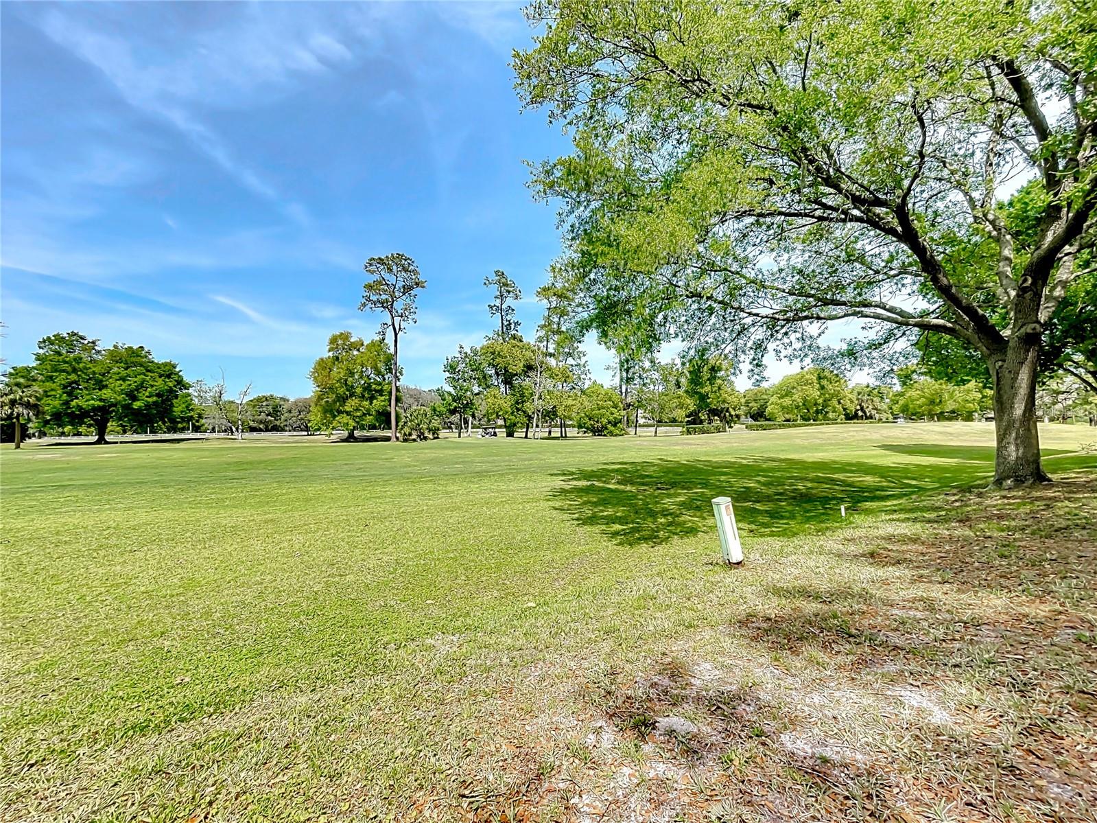 3960 VILLAS GREEN CIR, LONGWOOD, FL, 32779