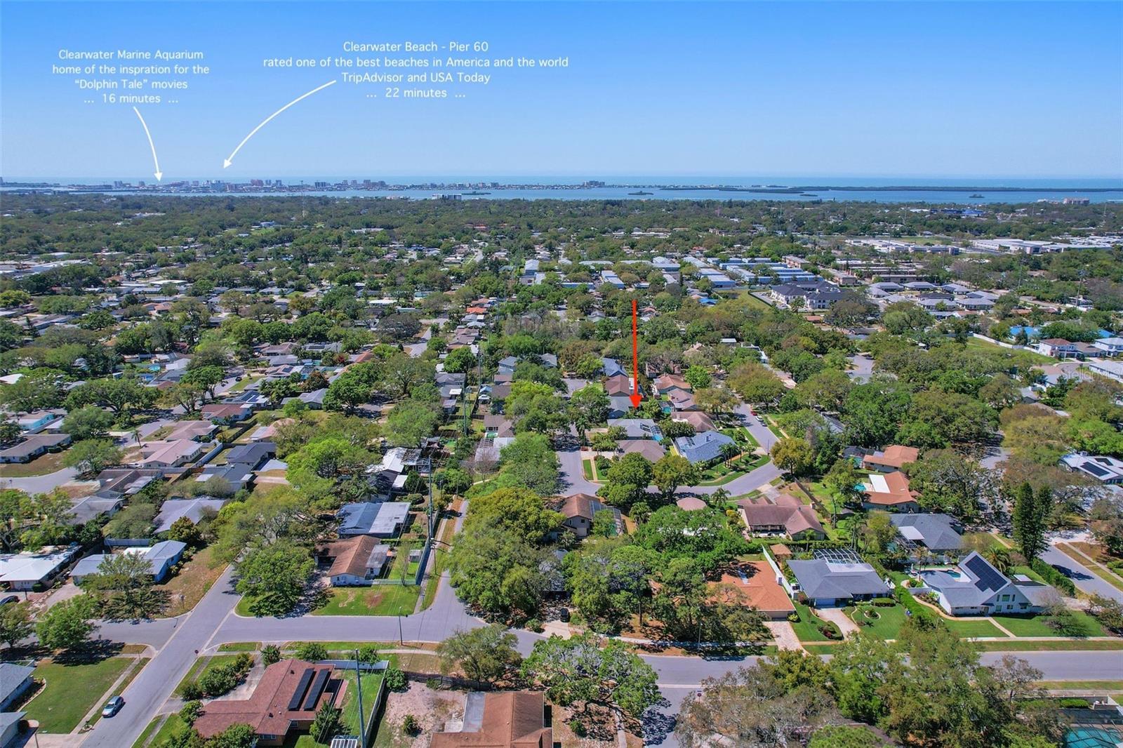 1638 WINDSOR PL, CLEARWATER, FL, 33755