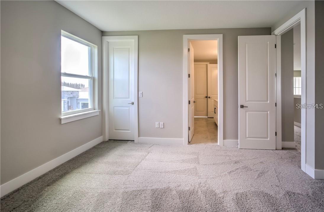 31808 TORTUGA SHORE LOOP, WESLEY CHAPEL, FL, 33545