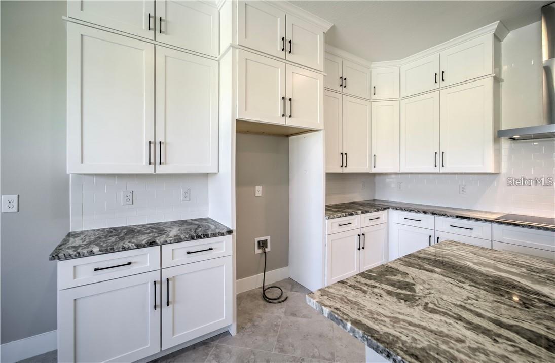 31808 TORTUGA SHORE LOOP, WESLEY CHAPEL, FL, 33545