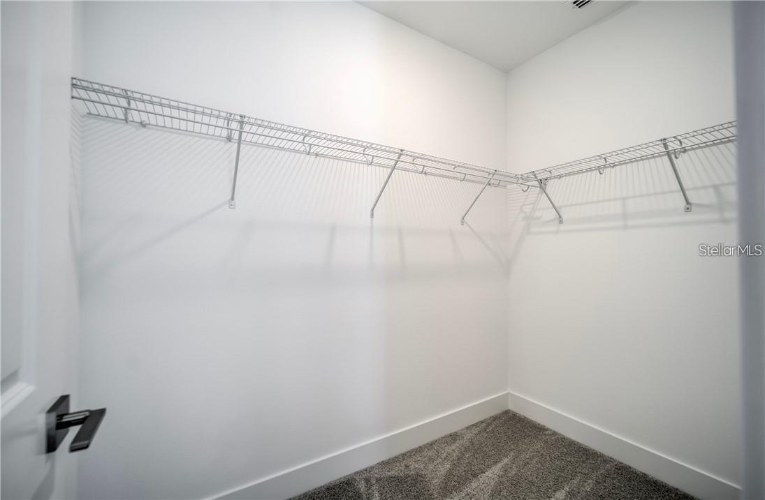 31808 TORTUGA SHORE LOOP, WESLEY CHAPEL, FL, 33545