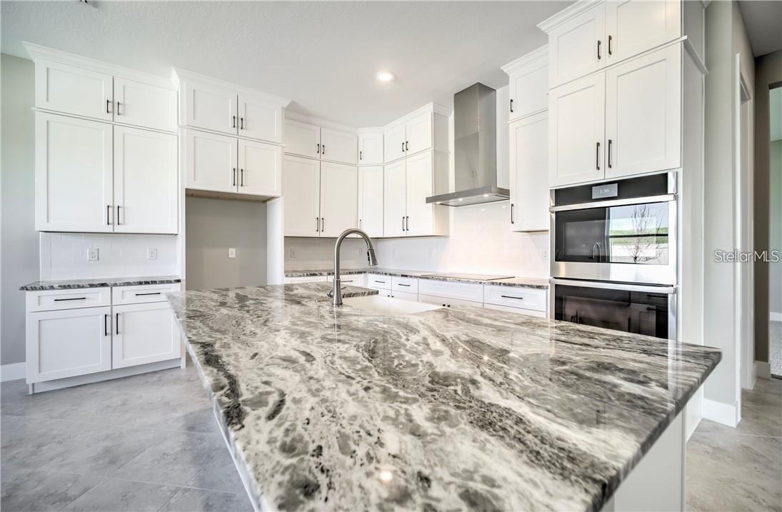 31808 TORTUGA SHORE LOOP, WESLEY CHAPEL, FL, 33545