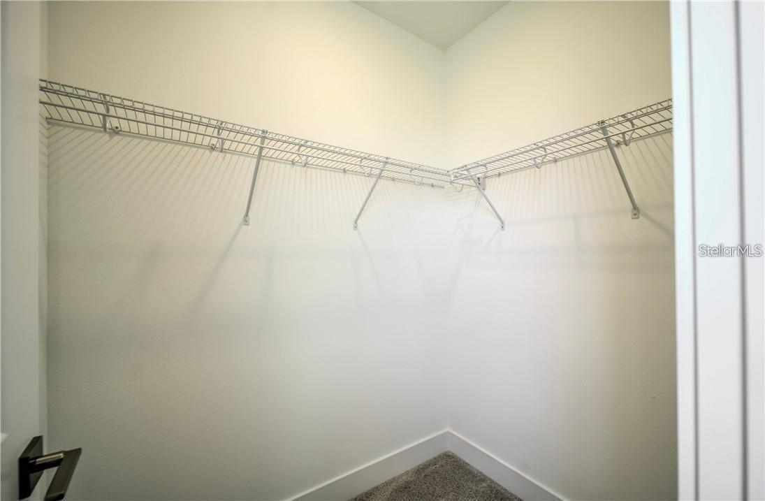 31808 TORTUGA SHORE LOOP, WESLEY CHAPEL, FL, 33545