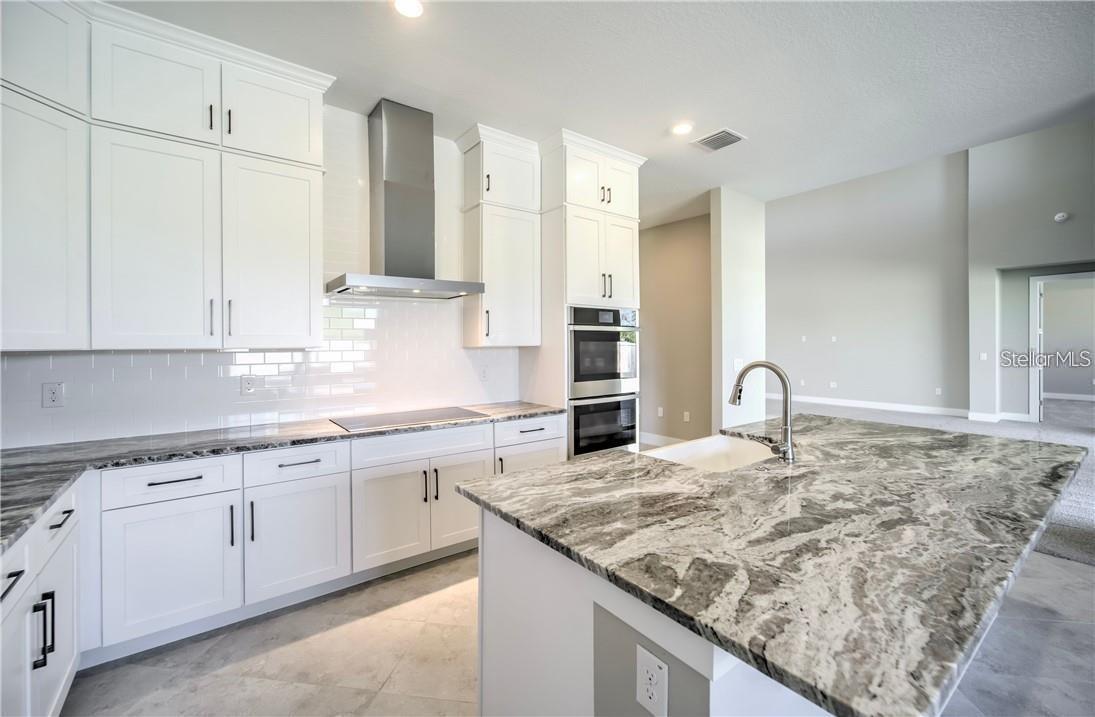 31808 TORTUGA SHORE LOOP, WESLEY CHAPEL, FL, 33545