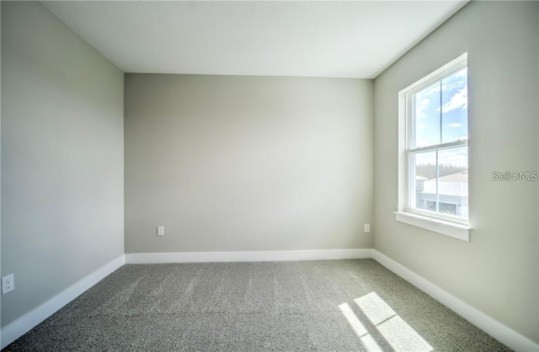31808 TORTUGA SHORE LOOP, WESLEY CHAPEL, FL, 33545