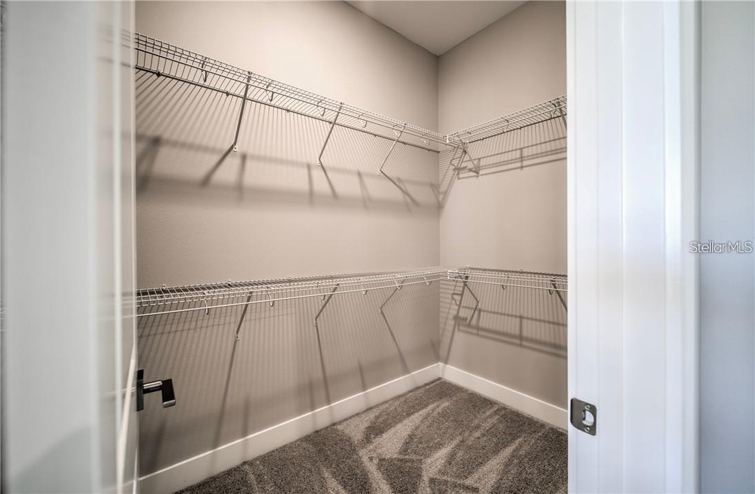 31808 TORTUGA SHORE LOOP, WESLEY CHAPEL, FL, 33545