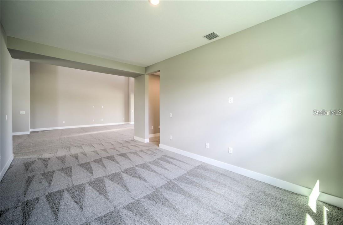 31808 TORTUGA SHORE LOOP, WESLEY CHAPEL, FL, 33545