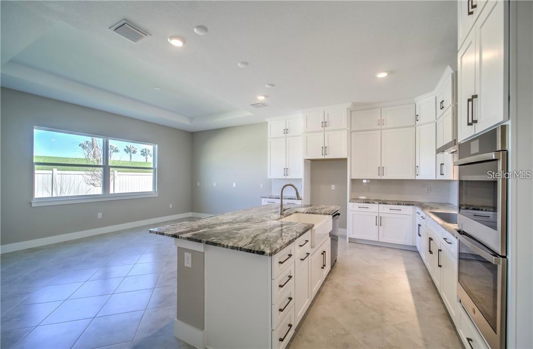 31808 TORTUGA SHORE LOOP, WESLEY CHAPEL, FL, 33545