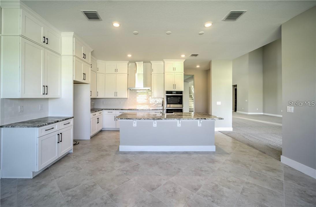 31808 TORTUGA SHORE LOOP, WESLEY CHAPEL, FL, 33545