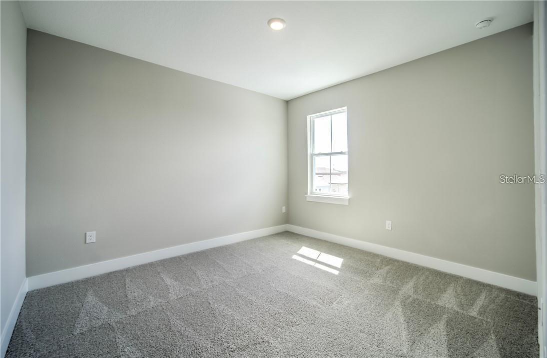 31808 TORTUGA SHORE LOOP, WESLEY CHAPEL, FL, 33545