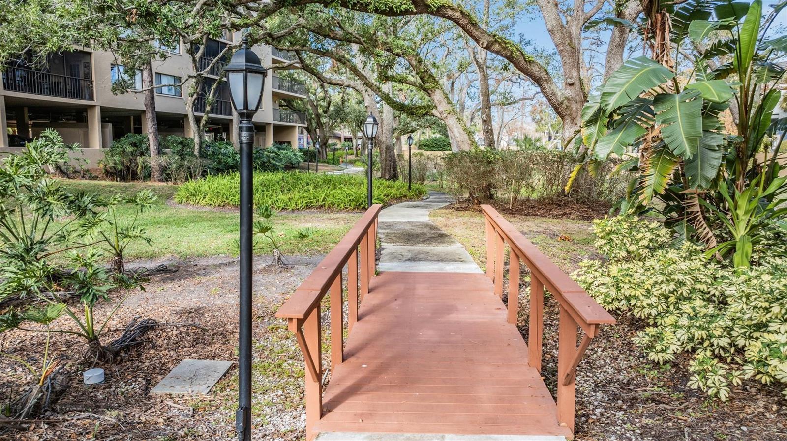 3076 EASTLAND BLVD #305, CLEARWATER, FL, 33761