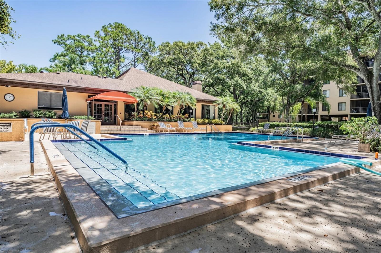 3076 EASTLAND BLVD #305, CLEARWATER, FL, 33761
