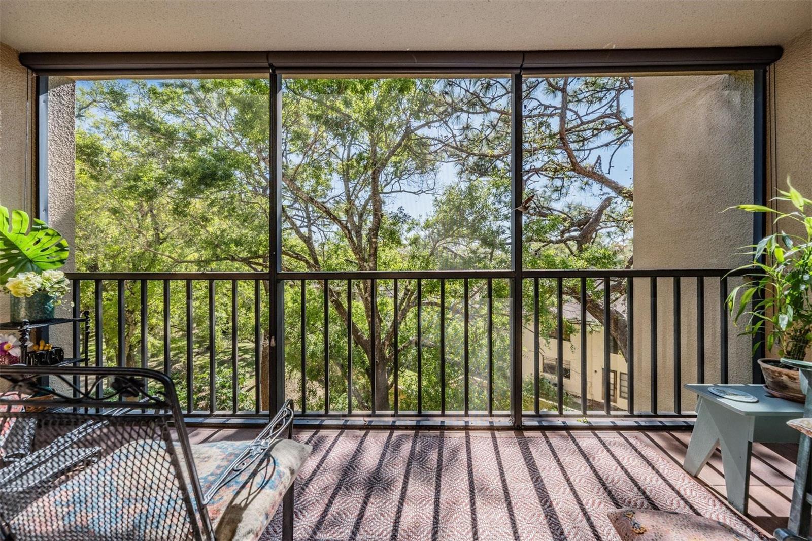 3076 EASTLAND BLVD #305, CLEARWATER, FL, 33761