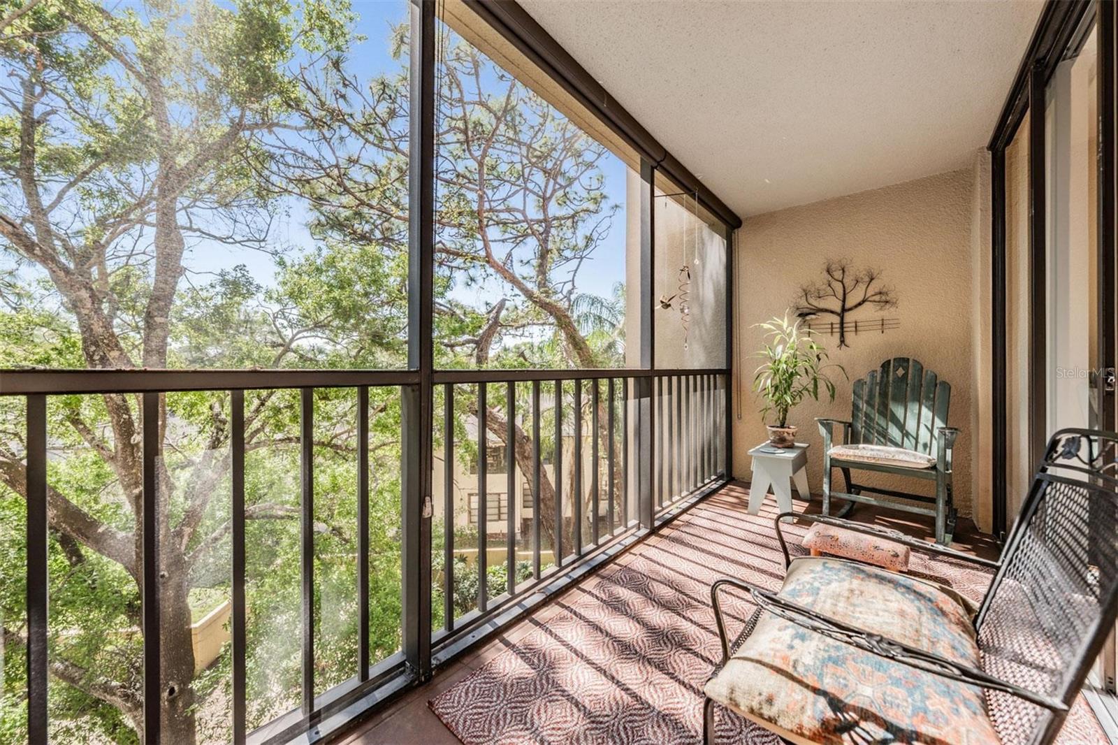 3076 EASTLAND BLVD #305, CLEARWATER, FL, 33761