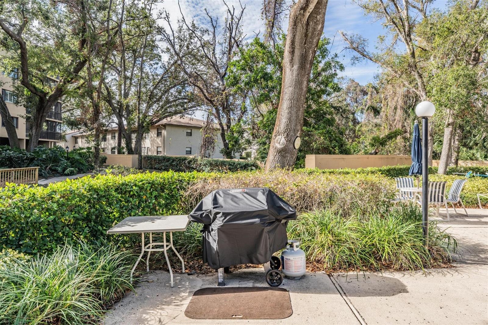 3076 EASTLAND BLVD #305, CLEARWATER, FL, 33761