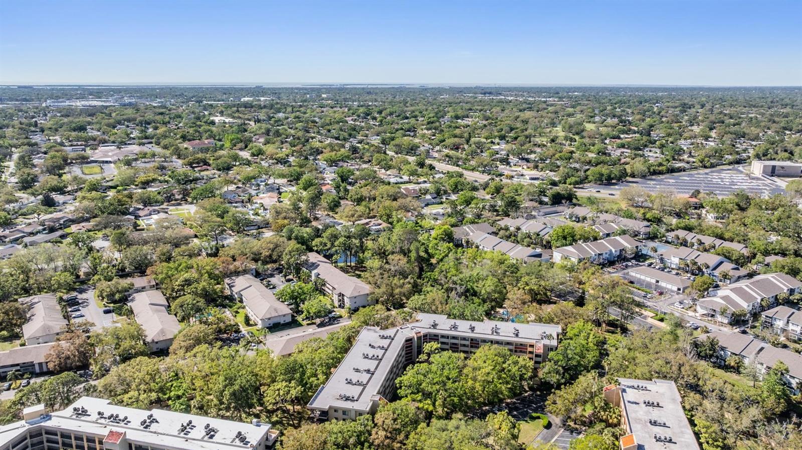 3076 EASTLAND BLVD #305, CLEARWATER, FL, 33761