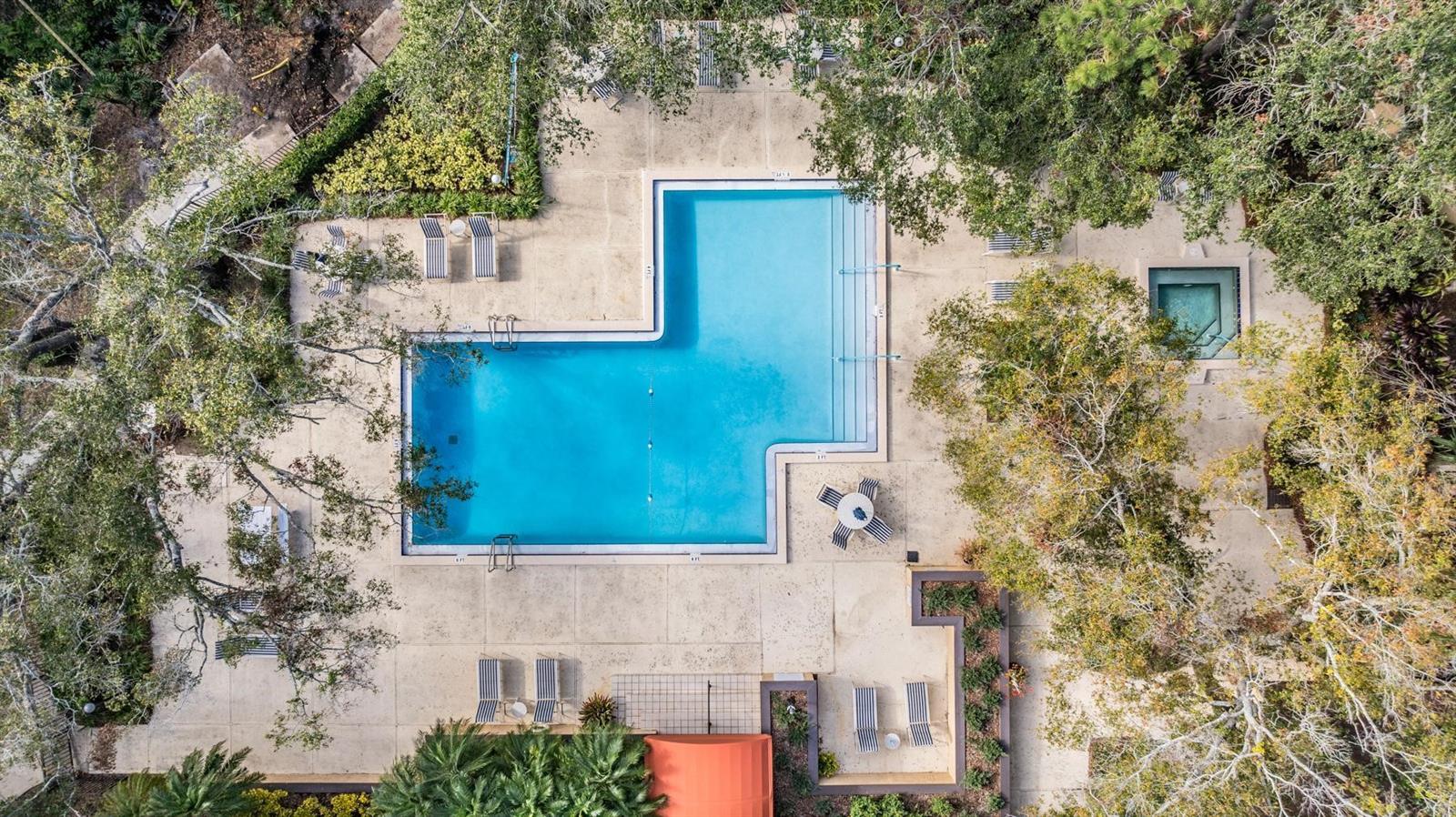 3076 EASTLAND BLVD #305, CLEARWATER, FL, 33761