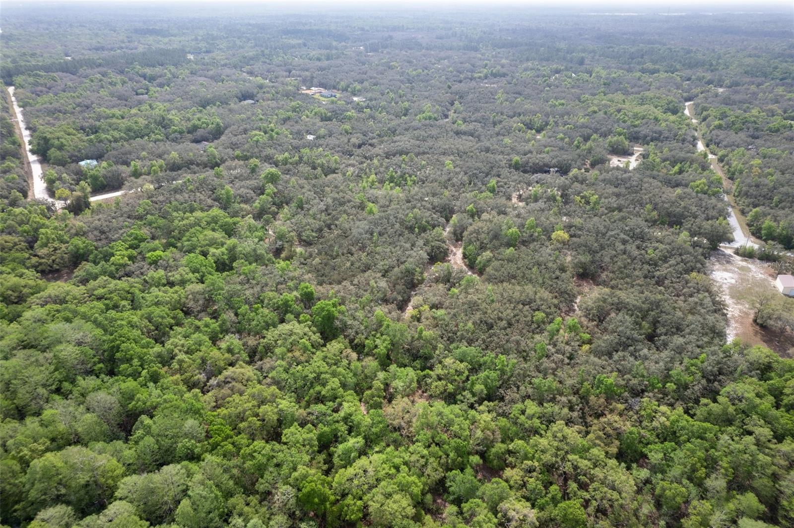 00 RIM ROCK ST, WEBSTER, FL, 33597