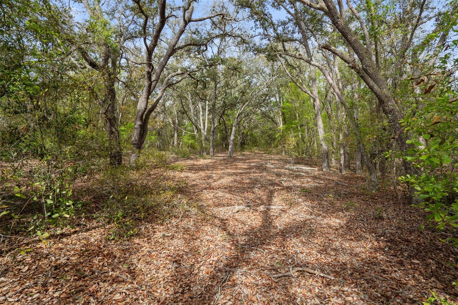 00 RIM ROCK ST, WEBSTER, FL, 33597