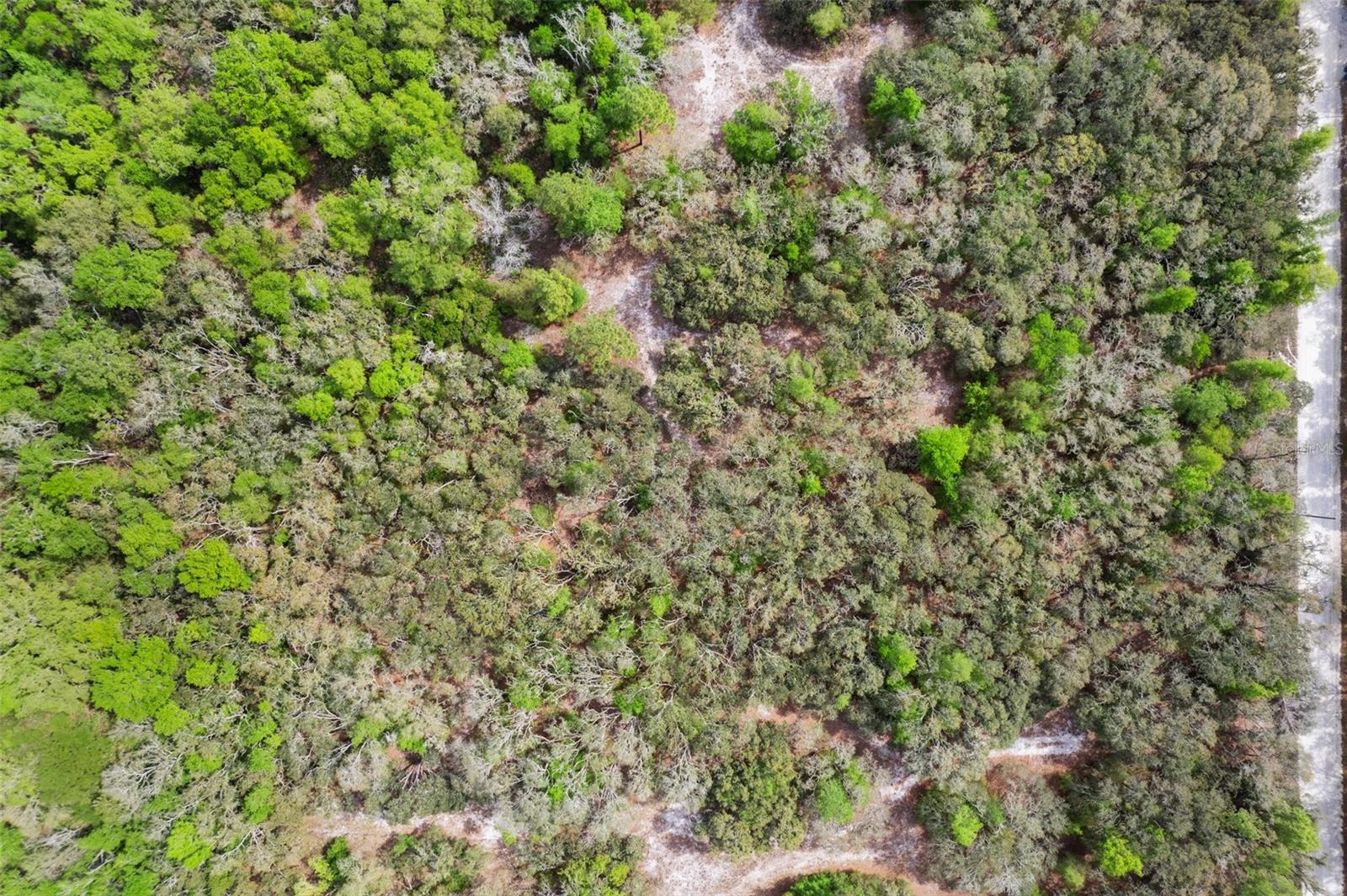 00 RIM ROCK ST, WEBSTER, FL, 33597