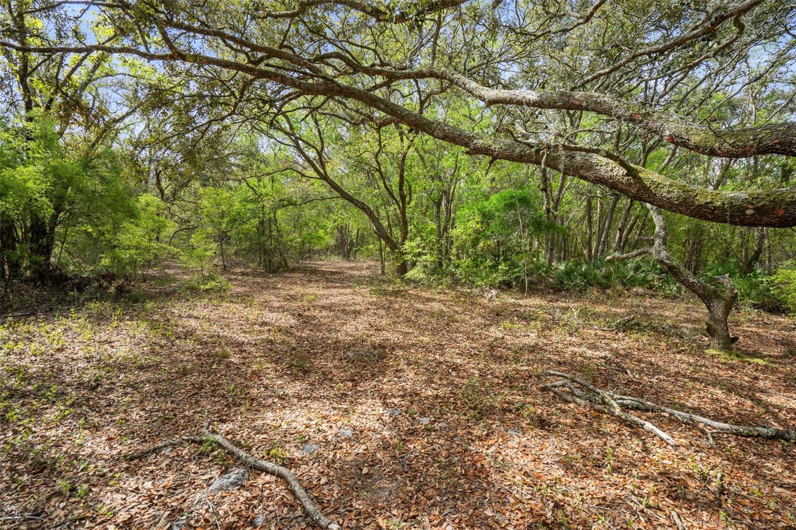 00 RIM ROCK ST, WEBSTER, FL, 33597