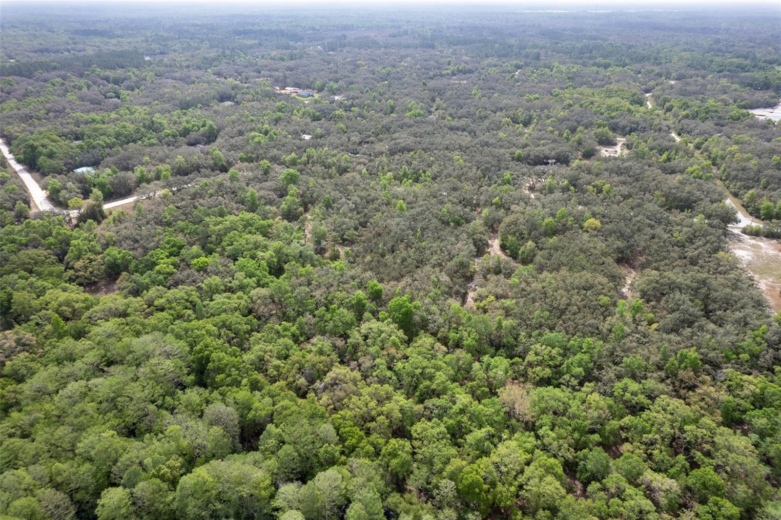 00 RIM ROCK ST, WEBSTER, FL, 33597