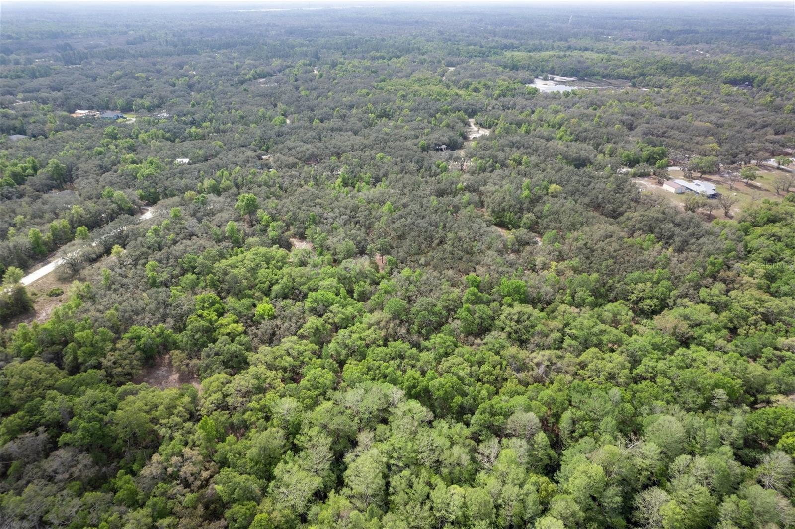 00 RIM ROCK ST, WEBSTER, FL, 33597