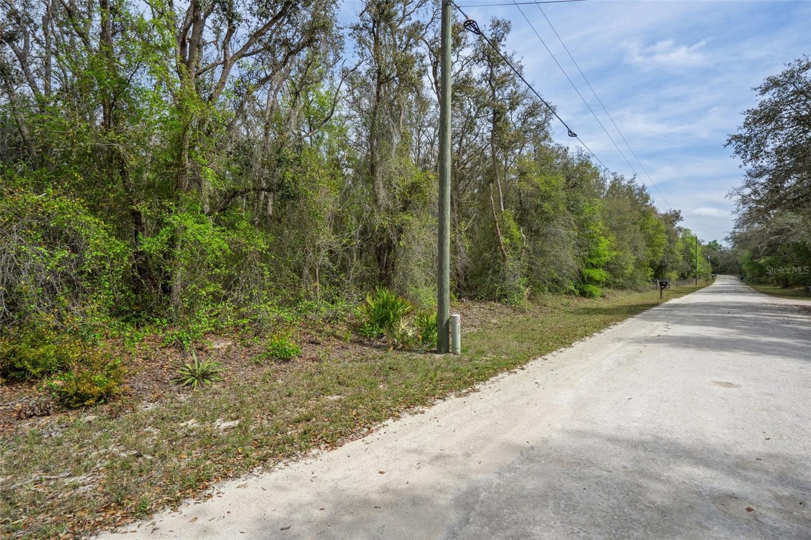 00 RIM ROCK ST, WEBSTER, FL, 33597