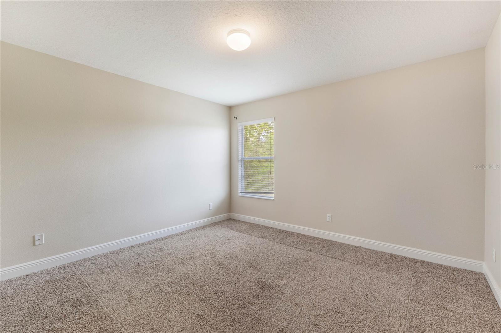 30439 GIDRAN TER, MOUNT DORA, FL, 32757
