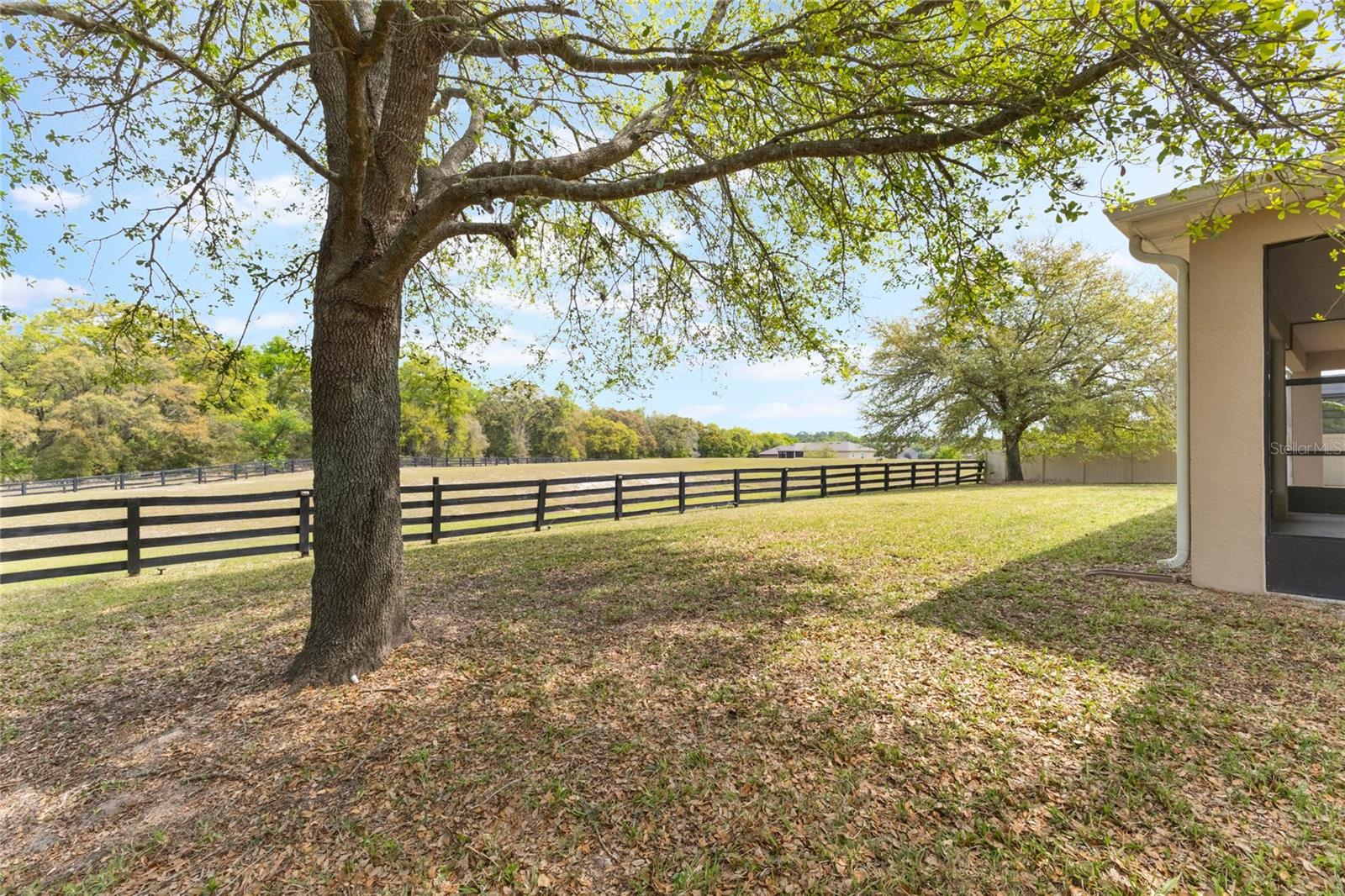 30439 GIDRAN TER, MOUNT DORA, FL, 32757