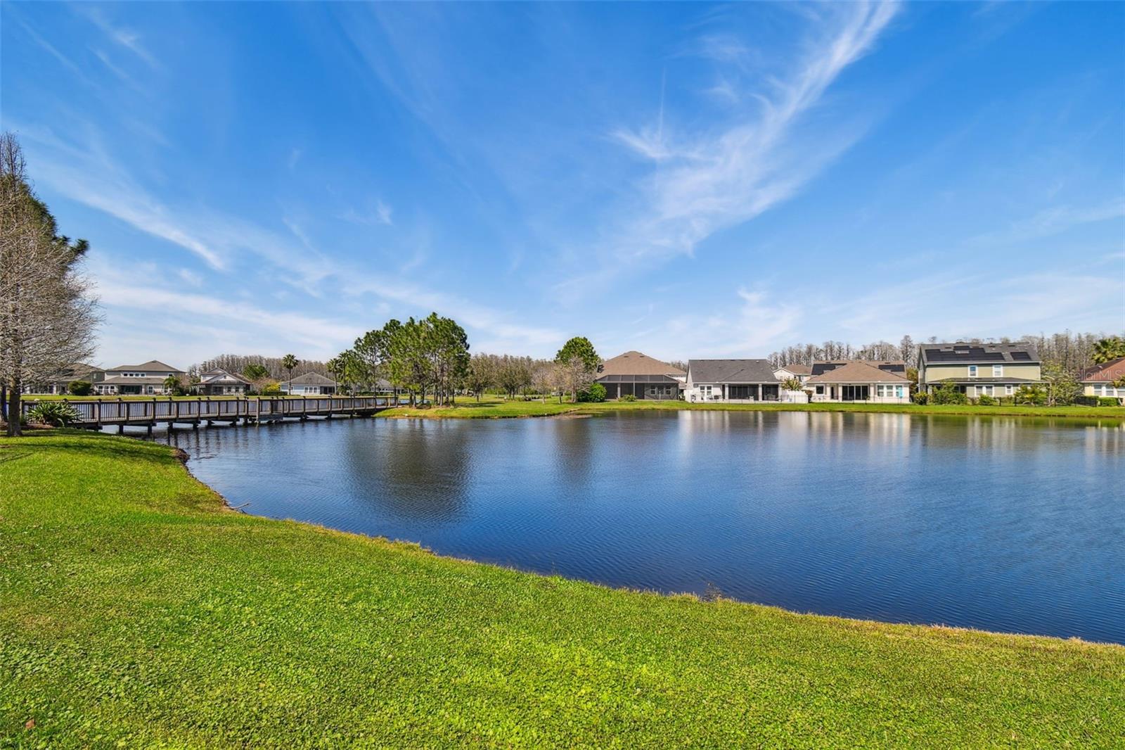 14885 CARAVAN AVE, ODESSA, FL, 33556