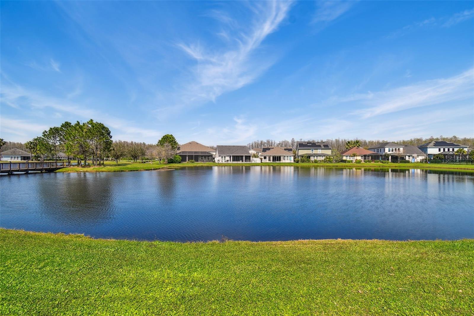 14885 CARAVAN AVE, ODESSA, FL, 33556