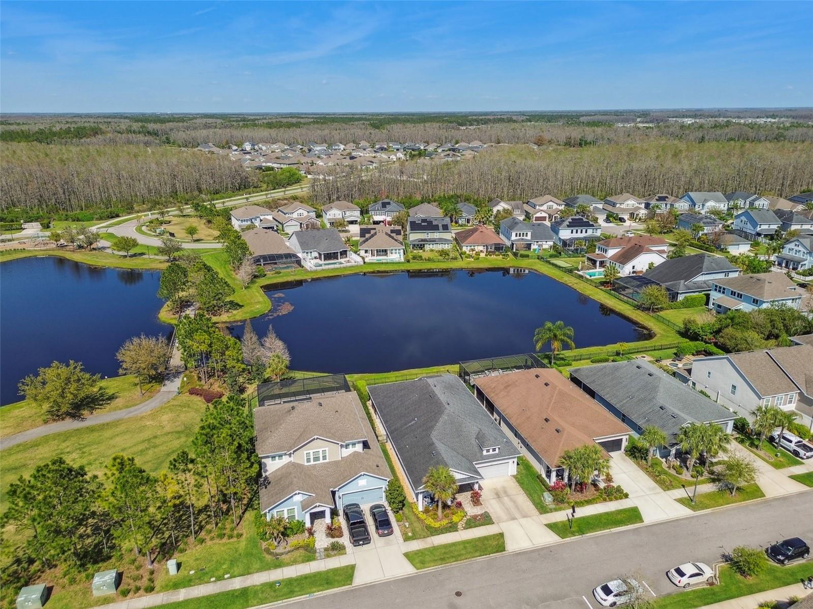 14885 CARAVAN AVE, ODESSA, FL, 33556