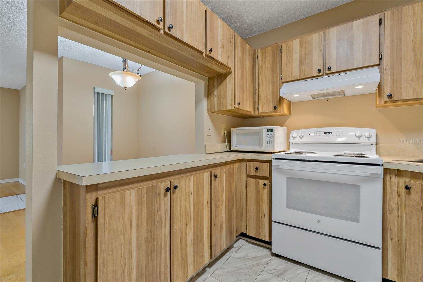 1737 PINE RIDGE WAY W #B-1, PALM HARBOR, FL, 34684