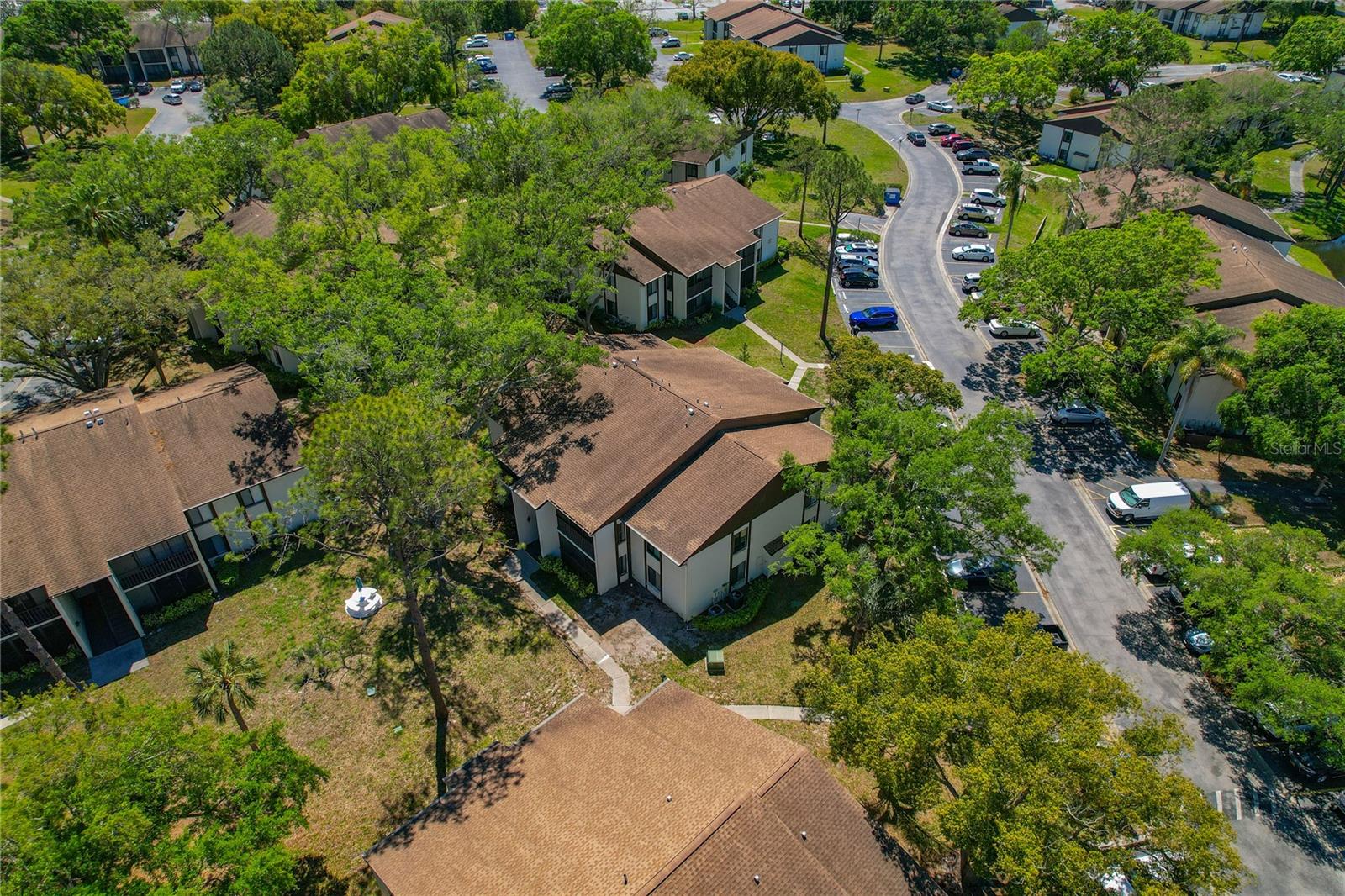 1737 PINE RIDGE WAY W #B-1, PALM HARBOR, FL, 34684