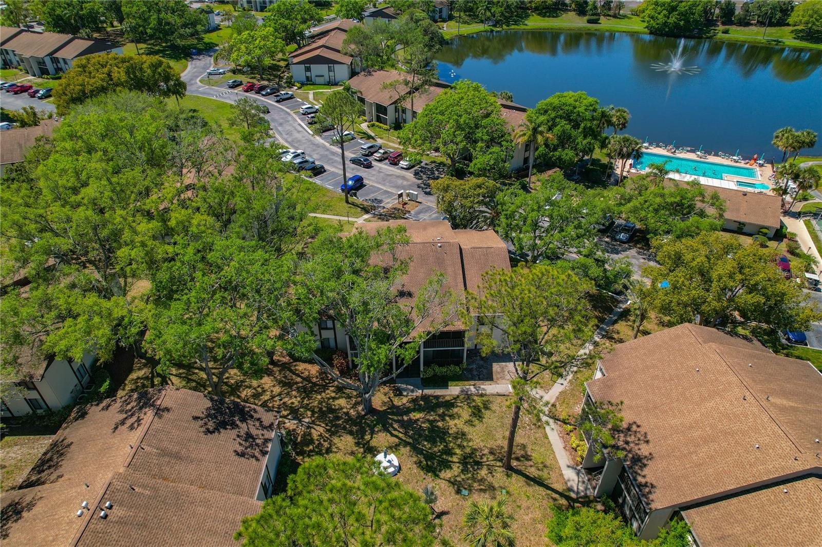 1737 PINE RIDGE WAY W #B-1, PALM HARBOR, FL, 34684