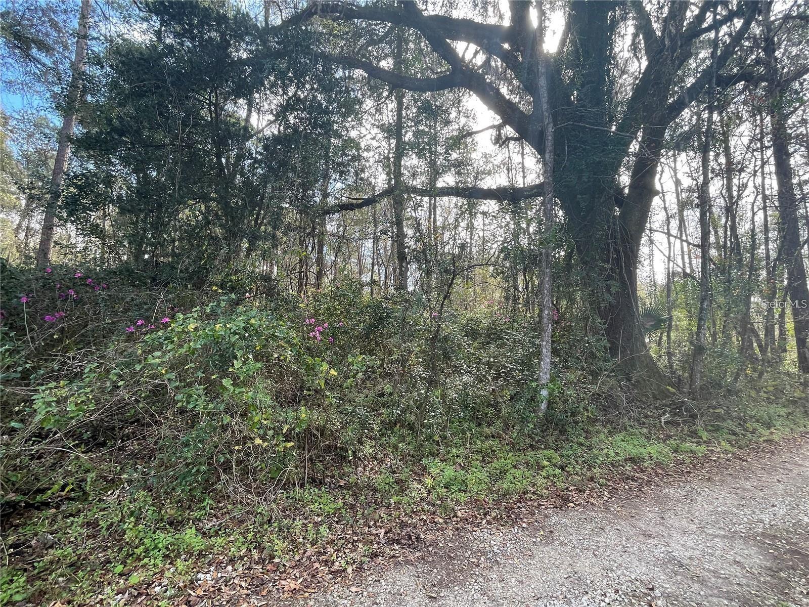 3726 NW 69TH ST, GAINESVILLE, FL, 32606