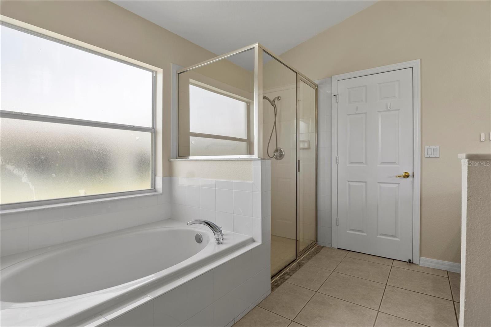16245 EGRET HILL ST, CLERMONT, FL, 34714